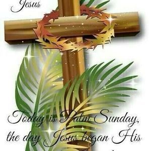 Meet your Posher, Judy